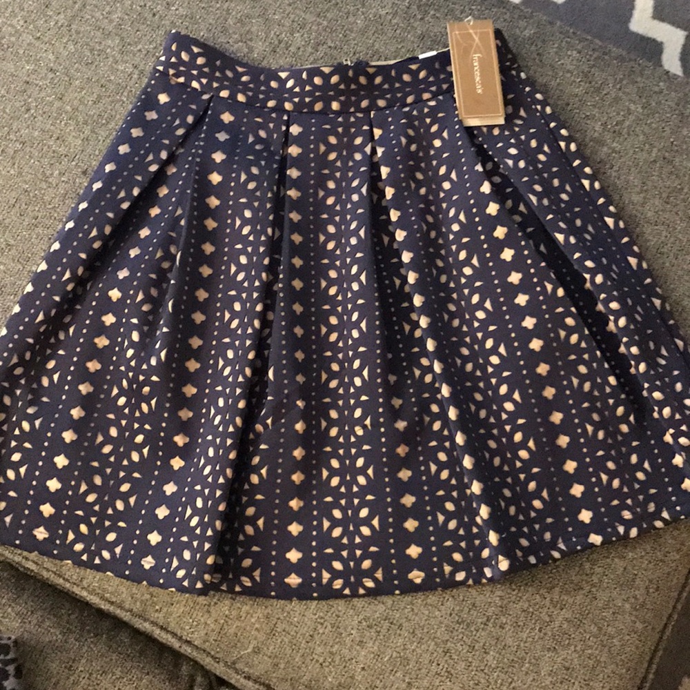 Francesca's Skirt